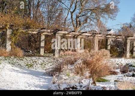 Saint Gallen, Switzerland, November 29, 2023 Romantic winter landscape at the botanical garden Stock Photo