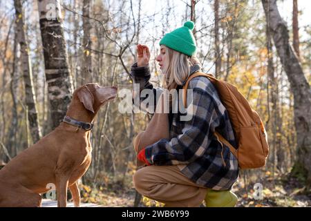 Woman pet owner training dog teaching voice command holding food in hand sitting near in park. Stock Photo
