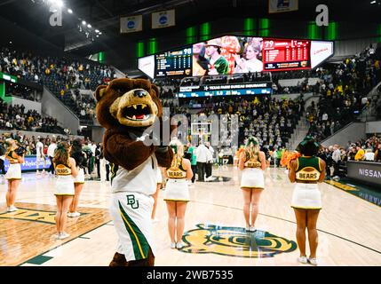 Waco, Texas, USA. 2nd Jan, 2024. Baylor Bears mascot after the NCAA Basketball game between the Cornell Big Red and Baylor Bears at Foster Pavilion in Waco, Texas. Matthew Lynch/CSM/Alamy Live News Stock Photo