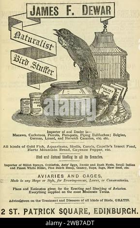 ''James F. Dewar, Naturalist Bird Stuffer'' bird importer and dealer 1887 ad - from, Post-Office Edinburgh and Leith Directory 1887-88 (page 1033 crop). Stock Photo