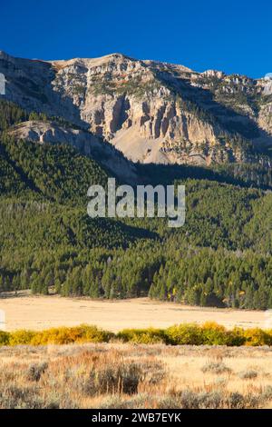 Taylor Mountain in Centennial Mountains, Red Rock Lakes National Wildlife Refuge, Montana Stock Photo