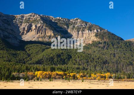 Taylor Mountain in Centennial Mountains, Red Rock Lakes National Wildlife Refuge, Montana Stock Photo