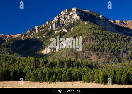 Taylor Mountain in Centennial Mountains, Red Rock Lakes National Wildlife Refuge, Montana Stock Photo