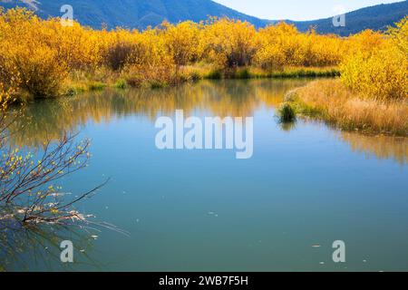 Odell Creek along Sparrow Ponds Trail, Red Rock Lakes National Wildlife Refuge, Montana Stock Photo