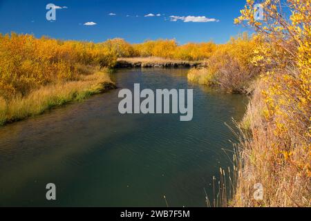 Odell Creek along Sparrow Ponds Trail, Red Rock Lakes National Wildlife Refuge, Montana Stock Photo