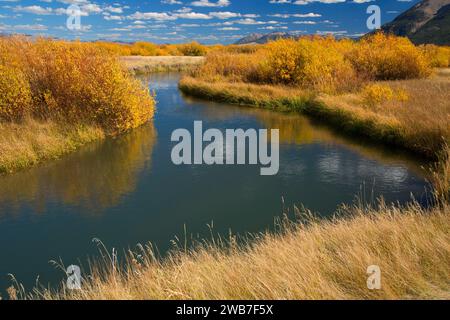 Odell Creek along Sparrow Ponds Trail, Red Rock Lakes National Wildlife Refuge, Montana Stock Photo