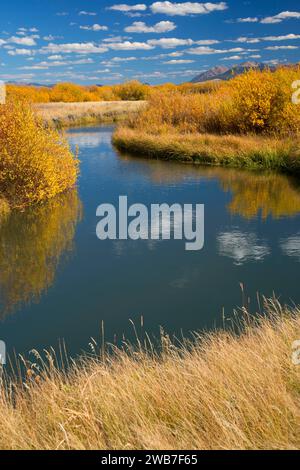 Odell Creek along Sparrow Ponds Trail, Red Rock Lakes National Wildlife Refuge, Montana Stock Photo