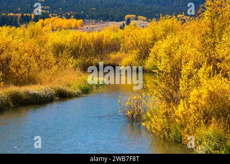 Odell Creek along Sparrow Ponds Trail, Red Rock Lakes National Wildlife Refuge, Montana Stock Photo