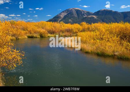 Odell Creek along Sparrow Ponds Trail to Sheep Mountain, Red Rock Lakes National Wildlife Refuge, Montana Stock Photo