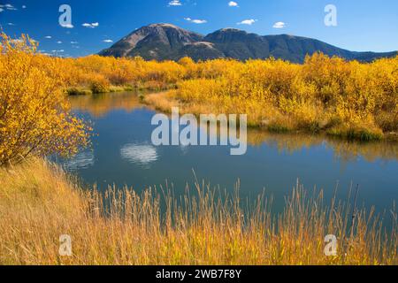 Odell Creek along Sparrow Ponds Trail to Sheep Mountain, Red Rock Lakes National Wildlife Refuge, Montana Stock Photo