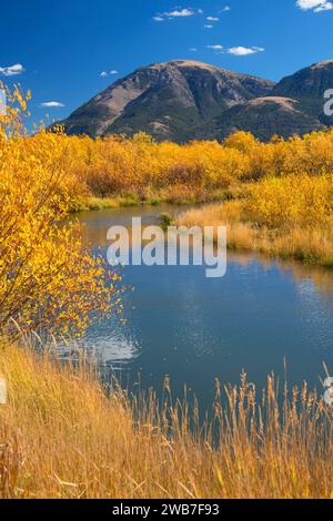 Odell Creek along Sparrow Ponds Trail to Sheep Mountain, Red Rock Lakes National Wildlife Refuge, Montana Stock Photo