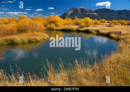 Odell Creek along Sparrow Ponds Trail to Sheep Mountain, Red Rock Lakes National Wildlife Refuge, Montana Stock Photo