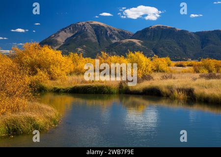 Odell Creek along Sparrow Ponds Trail to Sheep Mountain, Red Rock Lakes National Wildlife Refuge, Montana Stock Photo