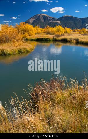 Odell Creek along Sparrow Ponds Trail to Sheep Mountain, Red Rock Lakes National Wildlife Refuge, Montana Stock Photo