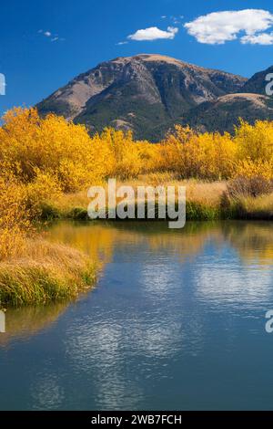 Odell Creek along Sparrow Ponds Trail to Sheep Mountain, Red Rock Lakes National Wildlife Refuge, Montana Stock Photo