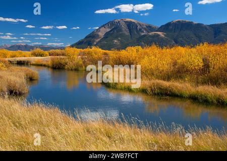 Odell Creek along Sparrow Ponds Trail to Sheep Mountain, Red Rock Lakes National Wildlife Refuge, Montana Stock Photo