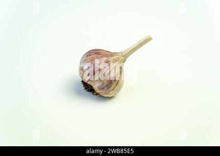 Raw garlic on white table top view, Stock Photo