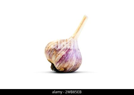 Garlic isolated on white background, Stock Photo
