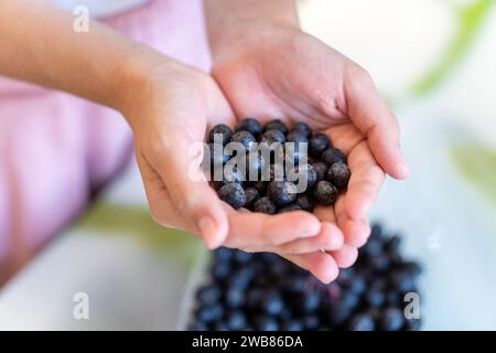 black berries in the hand of a child girl. Stock Photo