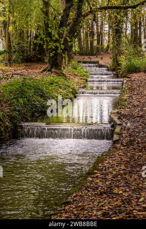 Tehidy Stream flowing over a series of cascades in Tehidy Woods Country Park in Cornwall in the UK. Stock Photo