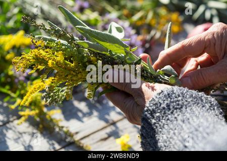 Räucherbüschel binden, Räuchergut, Räuchern, Räucherbündel, smudge-sticks, Räucherritual, Räucherung, Räuchern mit Kräutern, Kräuter verräuchern, Wild Stock Photo