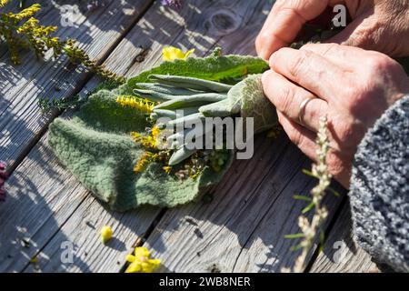 Räucherbüschel binden, Räuchergut, Räuchern, Räucherbündel, smudge-sticks, Räucherritual, Räucherung, Räuchern mit Kräutern, Kräuter verräuchern, Wild Stock Photo