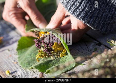 Räucherbüschel binden, Räuchergut, Räuchern, Räucherbündel, smudge-sticks, Räucherritual, Räucherung, Räuchern mit Kräutern, Kräuter verräuchern, Wild Stock Photo