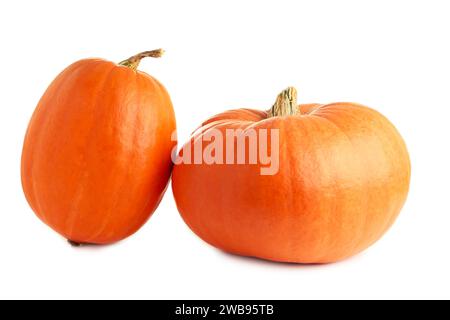 Two fresh orange pumpkins isolated on white background. Top view Stock Photo
