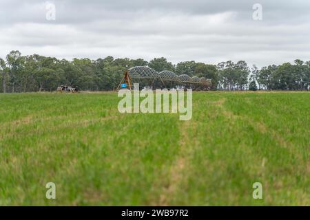 pivot irrigation in an agriculture field growing green food and grass on a farm in australia Stock Photo