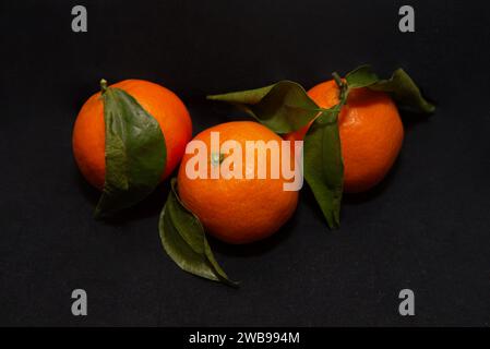 Three oranges with leaves up close on a dark background Stock Photo