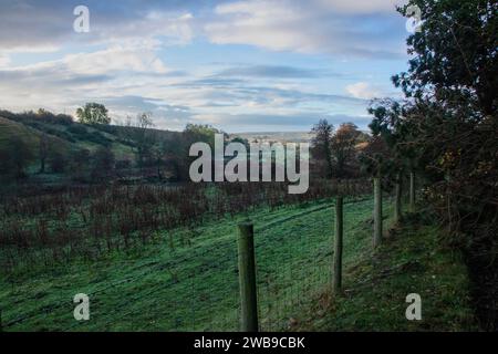 Witton Valley in autumn at sunrise Stock Photo