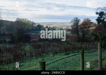 Witton Valley in autumn at sunrise Stock Photo