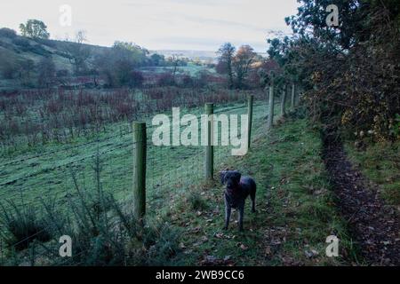 Witton Valley in autumn at sunrise Stock Photo