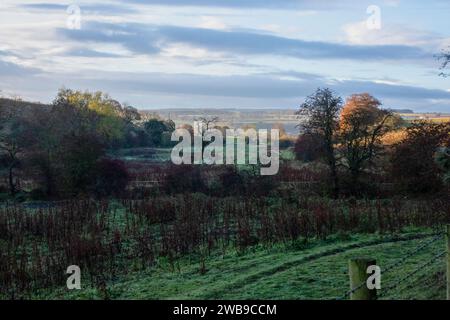 Witton Valley in autumn at sunrise Stock Photo