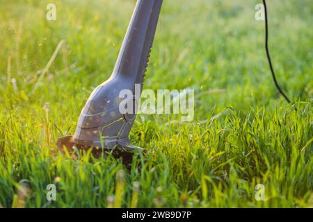 Electric lawn trimmer in operation. An image of the working part of a trimmer cutting green grass. Background image illustrating the work of a gardene Stock Photo