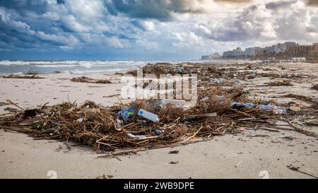 Vegetation mixed with metal and plastic waste in front of tourist resorts on a beach in Sousse, Tunisia. Stock Photo