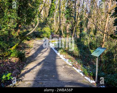 Sochi. Russia - February 2023, 16: Concrete path of the 'Small Ring' in the Yew-boxwood grove of the Caucasian Reserve Stock Photo