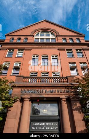 Harvard Museum of Natural History in Cambridge, MA. Stock Photo