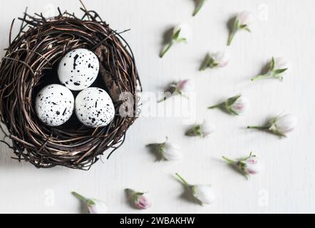 Bird’s nest flat lay, with speckled eggs and buds of apple blossom, on ...