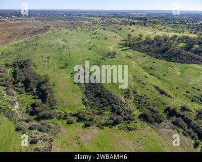 Aerial drone view of the pastures of the province of Huelva, in the village of Beas, with cork oaks and green meadows Stock Photo