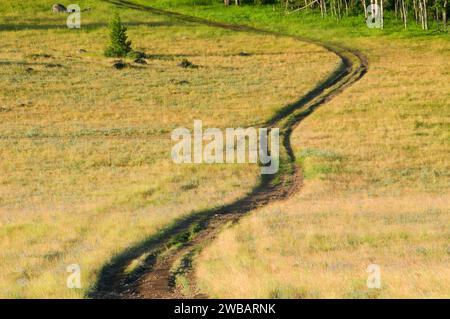 Grassland with jeep trail at Priest Pass, Continental Divide National Scenic Trail (CDT),  Helena National Forest, Montana Stock Photo