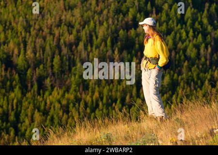 Viewpoint above Priest Pass, Helena National Forest, Montana Stock Photo