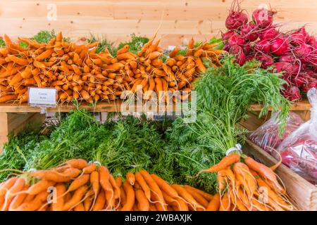 Close up of carrots and radishes on display at an outdoor farmers' market. Stock Photo