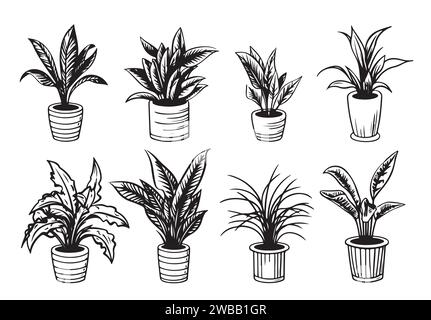 Set of Houseplants outline drawings. Indoor exotic flowers in pots line art. Dracaena, ficus, cacti, snake plant for home interior plans, design. Vect Stock Vector