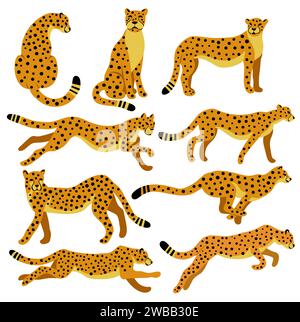 Cheetah Collection. Vector illustration of cartoon cheetahs in different actions like standing, jumping, hunting, running, walking. Isolated on white. Stock Vector