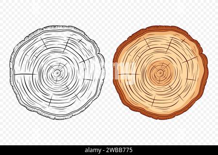 Tree Rings, Oak and Pine Slices, Lumber, and Timber Cross Section with Saw Cut Detail. Tree Trunk, Wood Log, Pine, Oak Slices, Lumber, Cut Timber Stock Vector