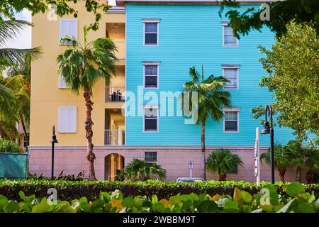 Tropical Urban Oasis with Colorful Buildings and Palm Trees Stock Photo