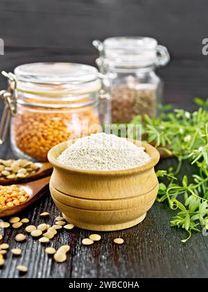 Lentil flour in a bowl, red and brown lentils in spoons and glass jars, bean stalks with green leaves on background of dark wooden board Stock Photo