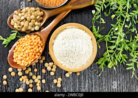 Lentil flour in a bowl, red lentils in a spoon and a glass jar, brown in a spoon, bean stalks with green leaves on wooden board background from above Stock Photo