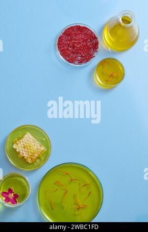 On the blue background, fresh crocus sativus, stigmas saffron, beeswax and yellow essence in petri dishes decorated. Empty space in the middle for dis Stock Photo